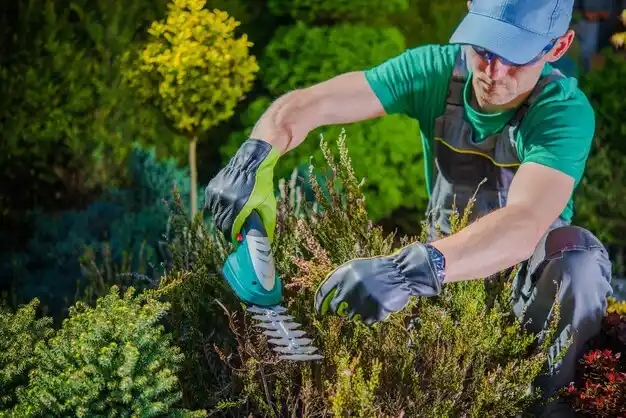 landscaping services Old Forge